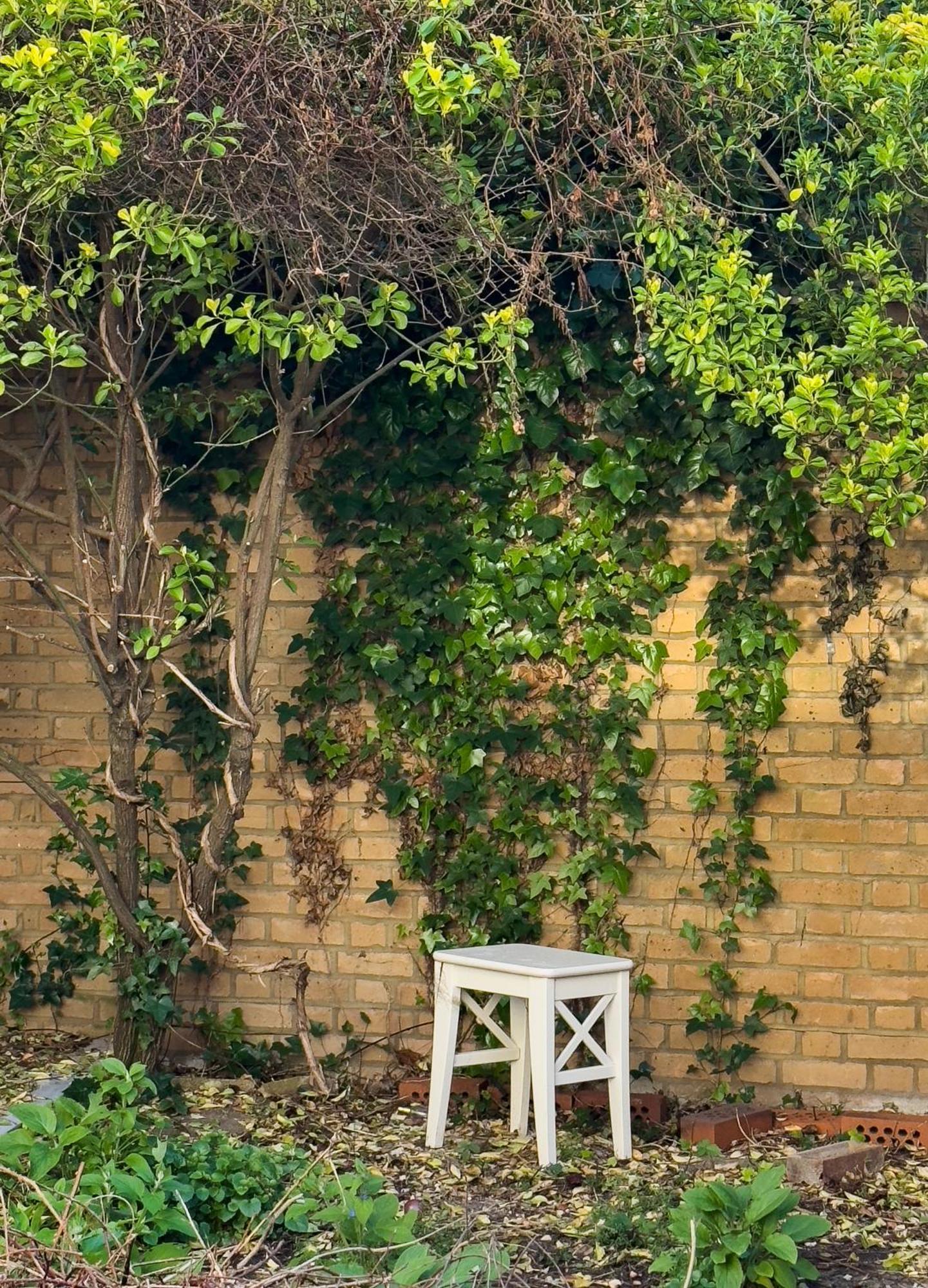 Camden Apartments لندن المظهر الخارجي الصورة